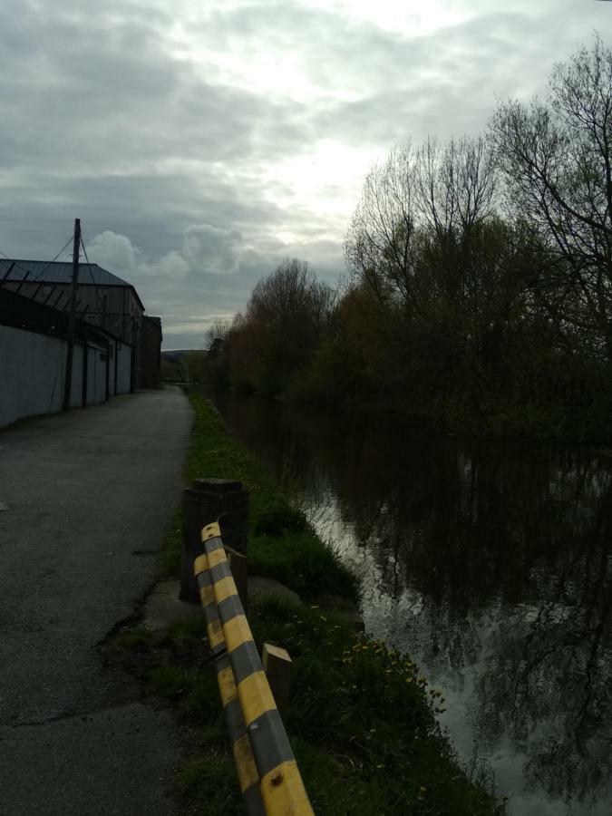 Townhouse 2 Barrow Lane Vila Carlow Exterior foto